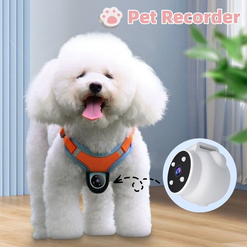 Pets Recorder Pet Tracker Collar Dogs And Cats Viewing Angle Motion Re
 Overview:

【Pet Recorder】Learn about the world of pets, from multiple perspectives. Capture and record video anytime, anywhere and store it. Record and understand Pet SuppliesShoparamas.comCats Viewing Angle Motion Recording Camera Action Camera